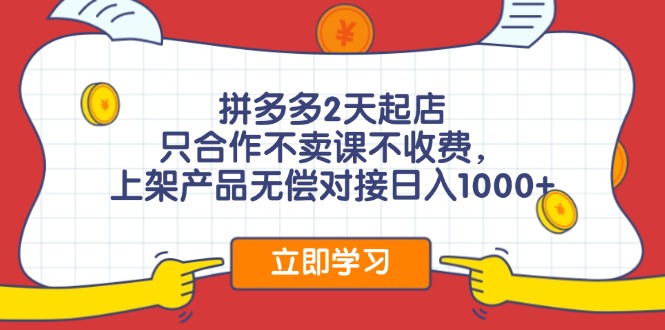 （12356期）拼多多0成本开店，只合作不卖课不收费，0成本尝试，日赚千元+-3YVIP资源库