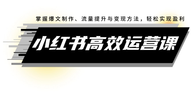（12369期）小红书高效运营课：掌握爆文制作、流量提升与变现方法，轻松实现盈利-3YVIP资源库
