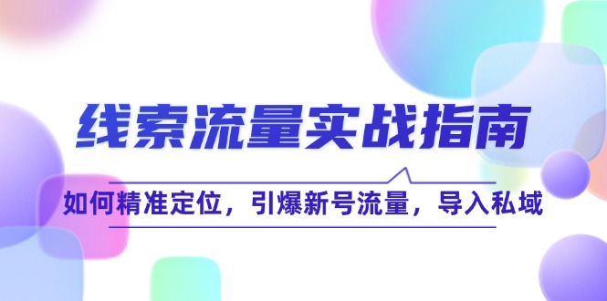 （12382期）线 索 流 量-实战指南：如何精准定位，引爆新号流量，导入私域-3YVIP资源库