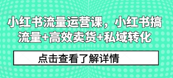 小红书流量运营课，小红书搞流量+高效卖货+私域转化-3YVIP资源库