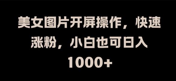 美女图片开屏操作，快速涨粉，小白也可日入1k【揭秘】-3YVIP资源库