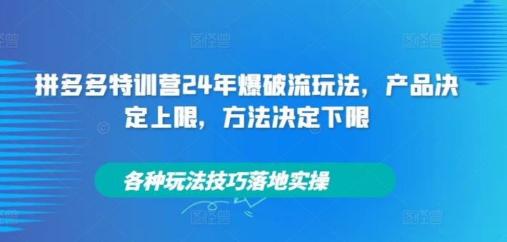 拼多多特训营24年爆破流玩法，产品决定上限，方法决定下限，各种玩法技巧落地实操-3YVIP资源库