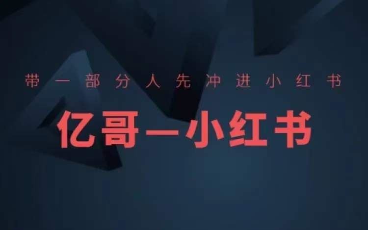 ​​带一部分人先冲进小红书，小红书开店、选品、爆款裂变-3YVIP资源库