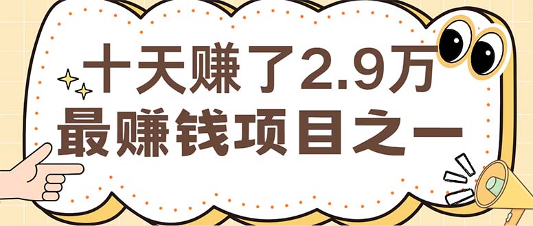 （12491期）闲鱼小红书赚钱项目之一，轻松月入6万+项目-3YVIP资源库