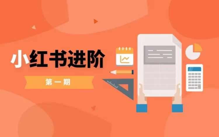 小红书进阶篇，零基础小白实战课，普通人变现的课程-3YVIP资源库