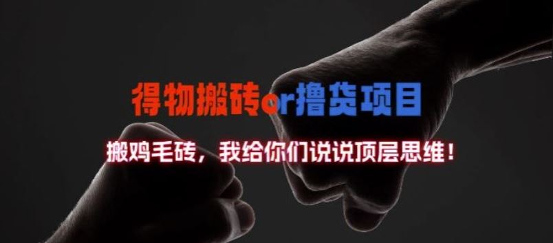 得物搬砖撸货项目?掰下数据，我给你们说说顶层思维【揭秘】-3YVIP资源库