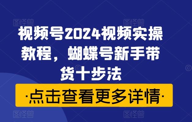 视频号2024视频实操教程，蝴蝶号新手带货十步法-3YVIP资源库