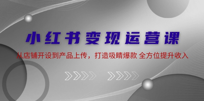 小红书变现运营课：从店铺开设到产品上传，打造吸睛爆款 全方位提升收入-3YVIP资源库