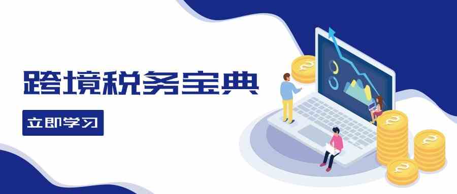 跨境税务宝典教程：跨境电商全球税务处理策略-3YVIP资源库