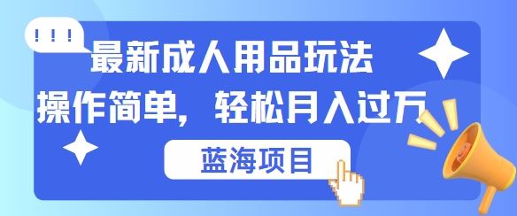 最新成人用品项目玩法，操作简单，动动手，轻松日入几张【揭秘】-3YVIP资源库