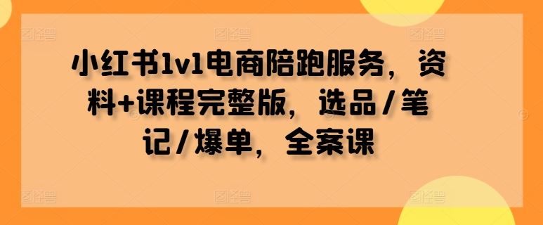 小红书1v1电商陪跑服务，资料+课程完整版，选品/笔记/爆单，全案课-3YVIP资源库