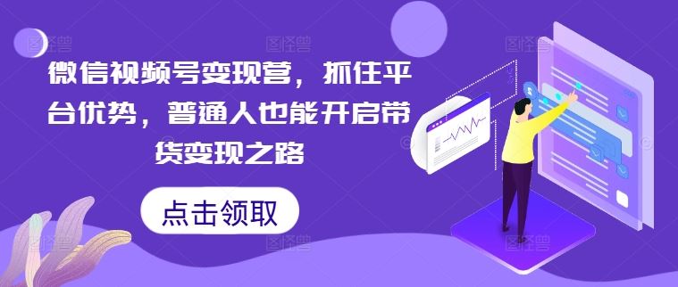微信视频号变现营，抓住平台优势，普通人也能开启带货变现之路-3YVIP资源库