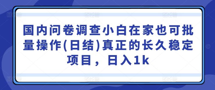 国内问卷调查小白在家也可批量操作(日结)真正的长久稳定项目，日入1k【揭秘】-3YVIP资源库