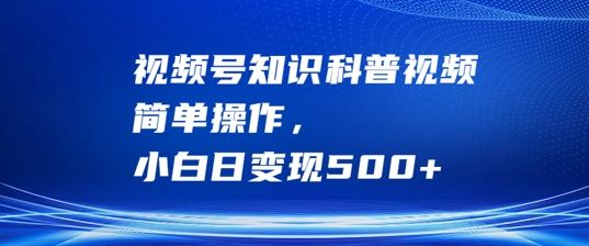 视频号知识科普视频，简单操作，小白日变现500+【揭秘】-3YVIP资源库