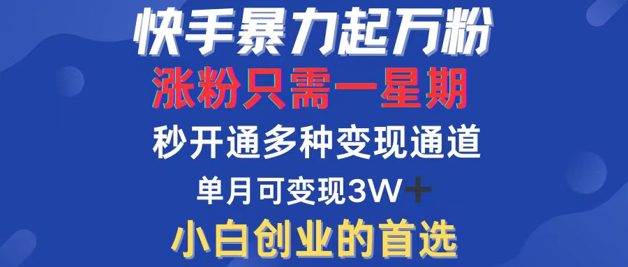 （12651期）快手暴力起万粉，涨粉只需一星期，多种变现模式，直接秒开万合，小白创…-3YVIP资源库