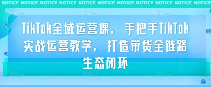 TikTok全域运营课，手把手TikTok实战运营教学，打造带货全链路生态闭环-3YVIP资源库