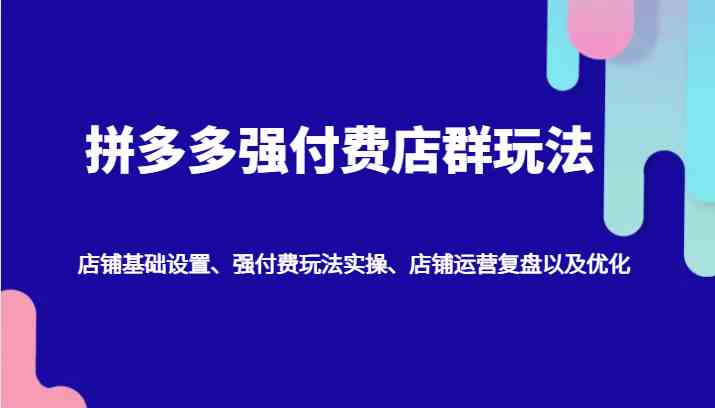 拼多多强付费店群玩法：店铺基础设置、强付费玩法实操、店铺运营复盘以及优化-3YVIP资源库
