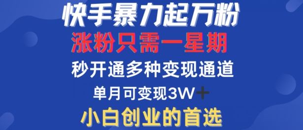 快手暴力起万粉，涨粉只需一星期，多种变现模式，直接秒开万合，单月变现过W【揭秘】-3YVIP资源库