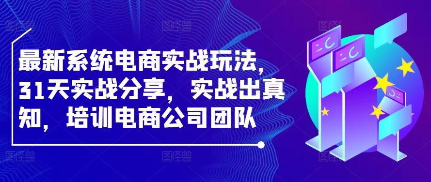 最新系统电商实战玩法，31天实战分享，实战出真知，培训电商公司团队-3YVIP资源库
