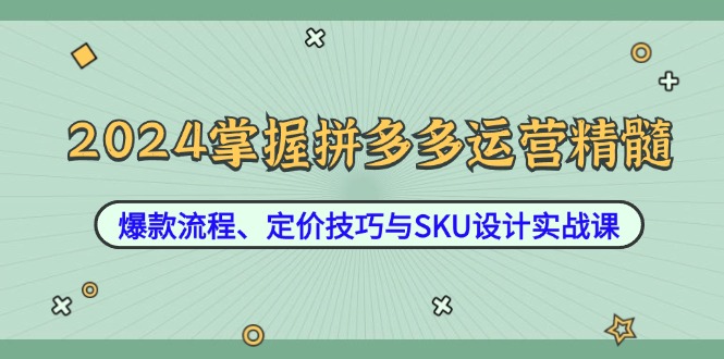 （12703期）2024掌握拼多多运营精髓：爆款流程、定价技巧与SKU设计实战课-3YVIP资源库