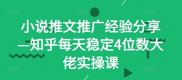 小说推文推广经验分享—知乎每天稳定4位数大佬实操课-3YVIP资源库