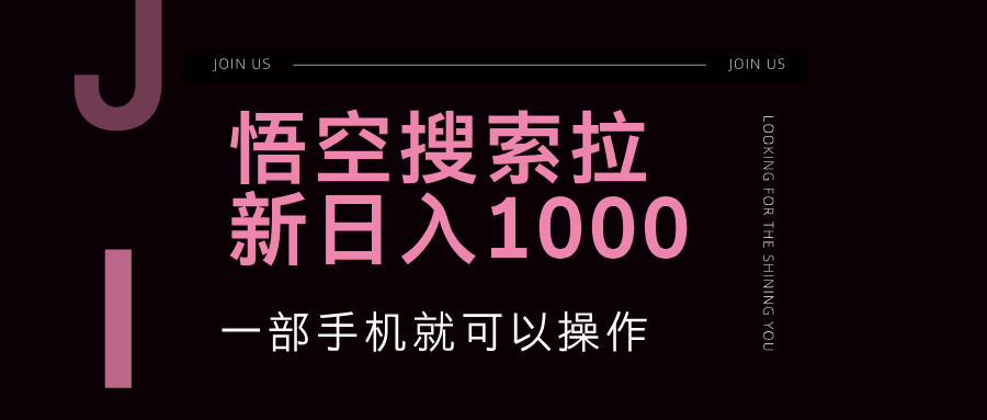 （12717期）悟空搜索类拉新 蓝海项目 一部手机就可以操作 教程非常详细-3YVIP资源库