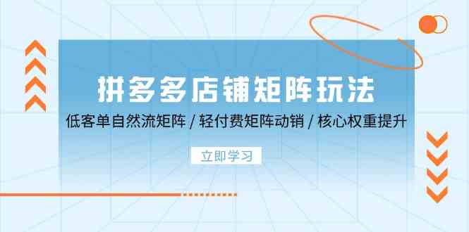 拼多多店铺矩阵玩法：低客单自然流矩阵 / 轻付费矩阵 动销 / 核心权重提升-3YVIP资源库