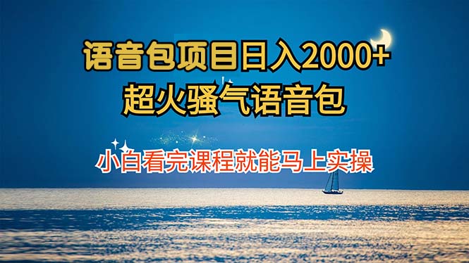 （12734期）语音包项目 日入2000+ 超火骚气语音包小白看完课程就能马上实操-3YVIP资源库