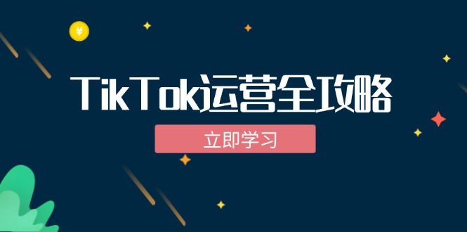 （12739期）TikTok实战运营全攻略：从下载软件到变现，抖音海外版实操教程-3YVIP资源库