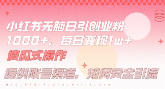 小红书无脑每日引流创业粉500+，小白每天只花半小时，躺赚长尾收益【揭秘】-3YVIP资源库