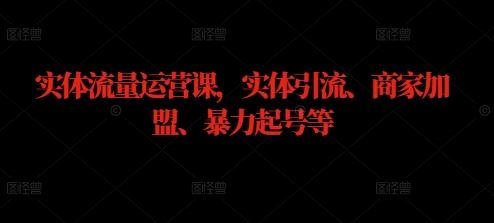 实体流量运营课，实体引流、商家加盟、暴力起号等-3YVIP资源库