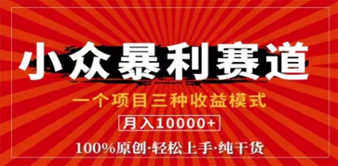 （12756期）视频号最新爆火赛道，三种可收益模式，0粉新号条条原创条条热门 日入1000+-3YVIP资源库