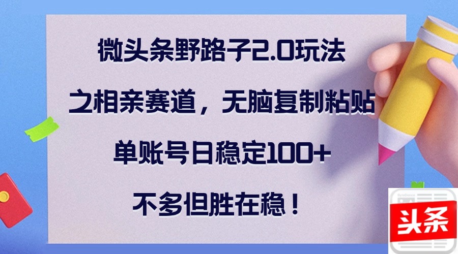 （12763期）微头条野路子2.0玩法之相亲赛道，无脑复制粘贴，单账号日稳定100+，不…-3YVIP资源库