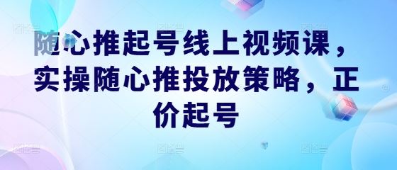 随心推起号线上视频课，实操随心推投放策略，正价起号-3YVIP资源库
