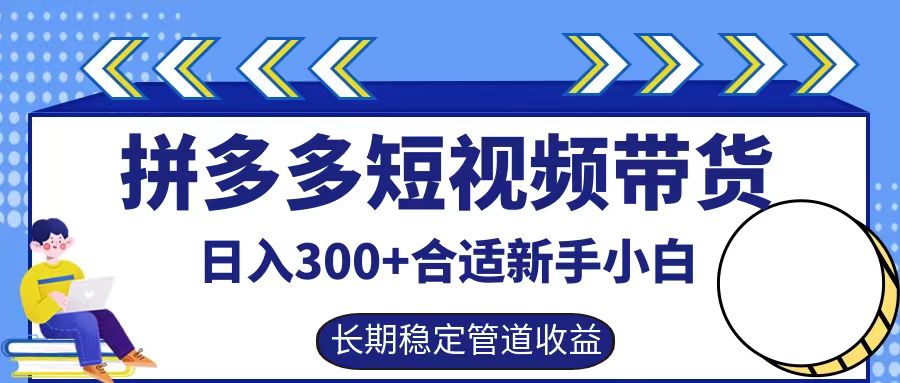 拼多多短视频带货日入300+，实操账户展示看就能学会-3YVIP资源库