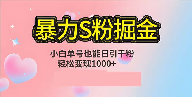 （12778期）单人单机日引千粉，变现1000+，S粉流量掘金计划攻略-3YVIP资源库