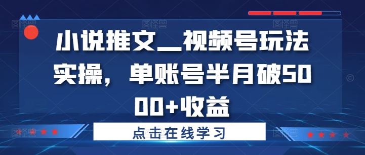 小说推文—视频号玩法实操，单账号半月破5000+收益-3YVIP资源库