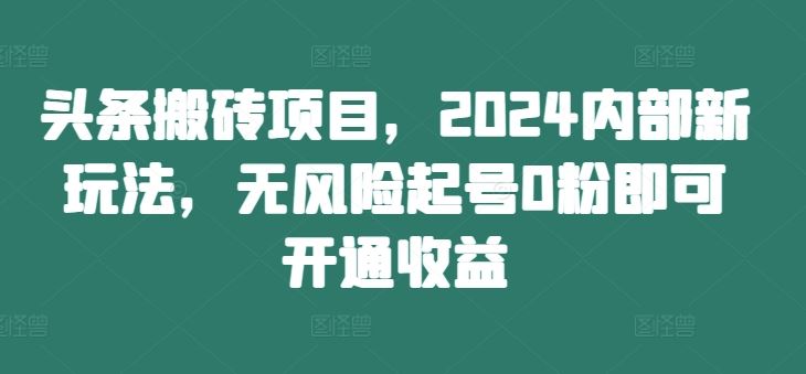 头条搬砖项目，2024内部新玩法，无风险起号0粉即可开通收益-3YVIP资源库