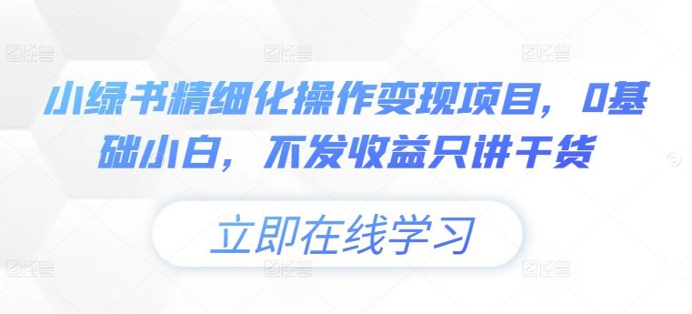小绿书精细化操作变现项目，0基础小白，不发收益只讲干货-3YVIP资源库