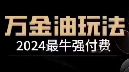 2024最牛强付费，万金油强付费玩法，干货满满，全程实操起飞-3YVIP资源库