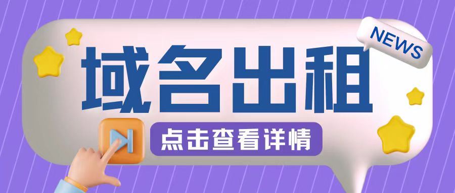 冷门项目，域名出租玩法，简单粗暴适合小白【揭秘】-3YVIP资源库