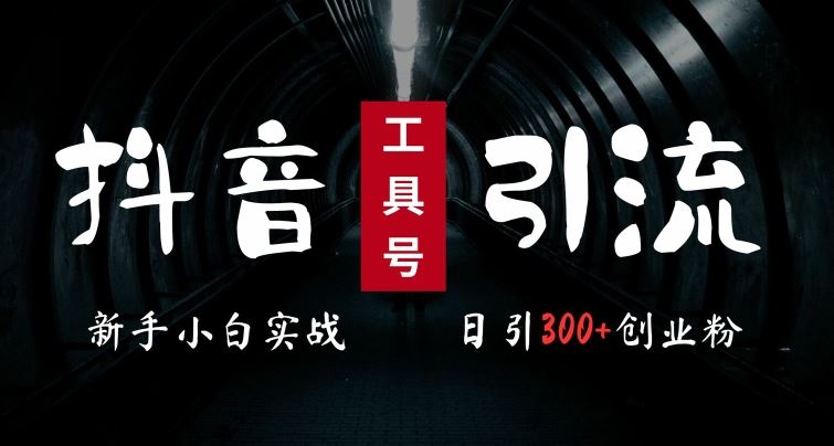 2024最新抖音工具号引流玩法，高效日引300+创业粉，当天变现5k，小白也可成为实战高手-3YVIP资源库