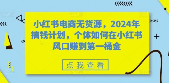 小红书电商无货源，2024年搞钱计划，个体如何在小红书风口赚到第一桶金-3YVIP资源库