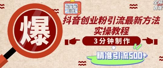 轻松制作创业类视频，一天被动加精准创业粉500+【揭秘】-3YVIP资源库