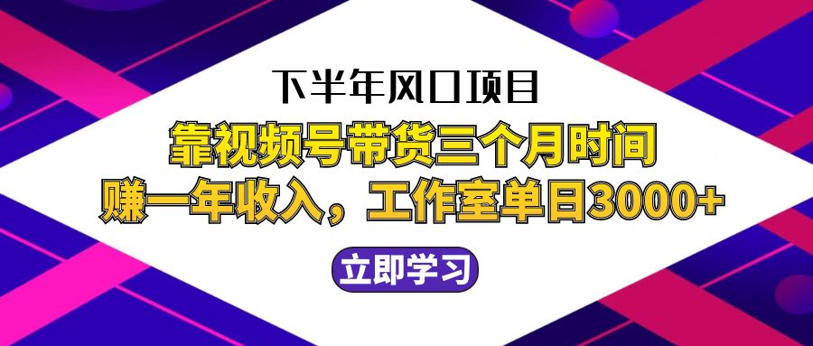 （12849期）下半年风口项目，靠视频号带货三个月时间赚一年收入，工作室实测单日3…-3YVIP资源库