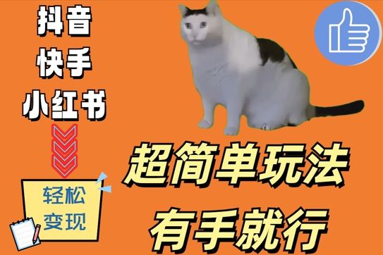 超简单玩法，有手就行，靠猫咪视频日入500+【揭秘】-3YVIP资源库
