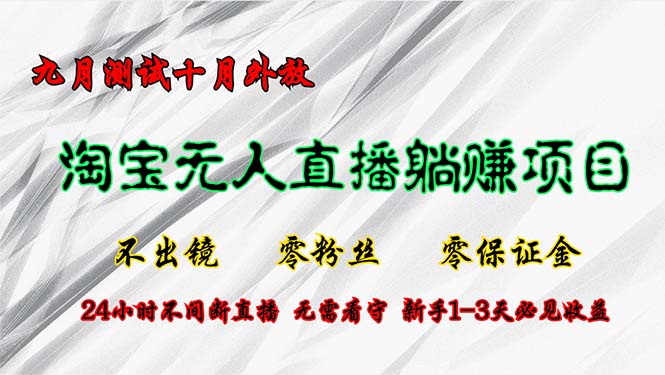 （12862期）淘宝无人直播最新玩法，九月测试十月外放，不出镜零粉丝零保证金，24小…-3YVIP资源库