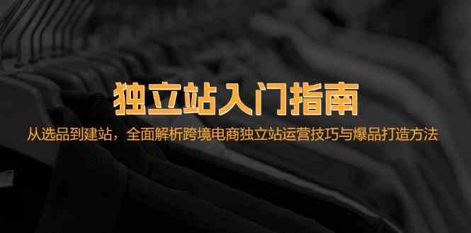 独立站入门指南：从选品到建站，全面解析跨境电商独立站运营技巧与爆品打造方法-3YVIP资源库