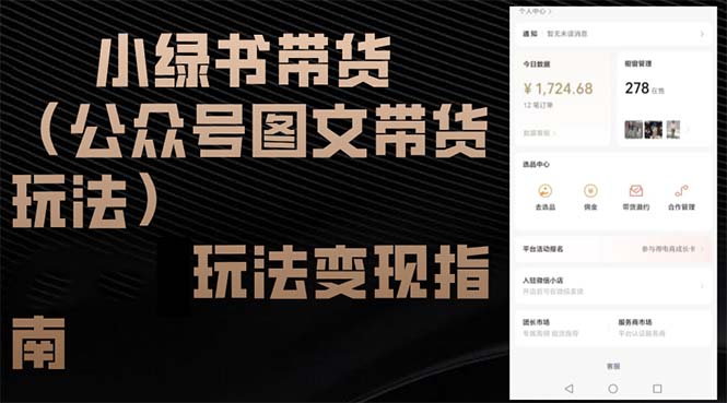 （12902期）小绿书带货（公众号图文带货玩法）玩法变现指南-3YVIP资源库