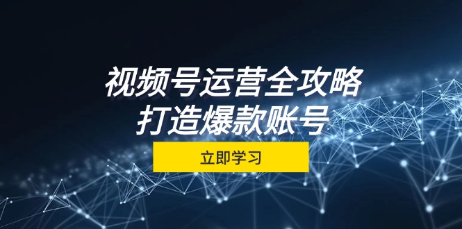 （12912期）视频号运营全攻略，从定位到成交一站式学习，视频号核心秘诀，打造爆款…-3YVIP资源库